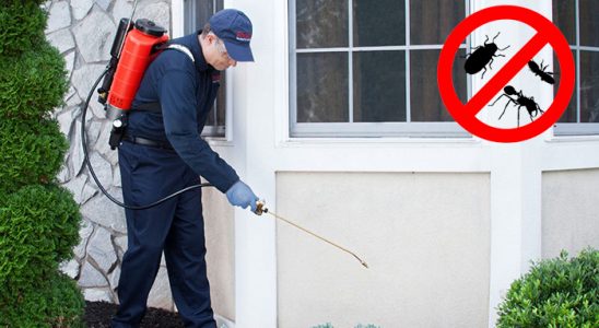 Vize Böcek İlaçlama böcek ilaçlama ve haşere kontrolü — ilaclama-tr.com